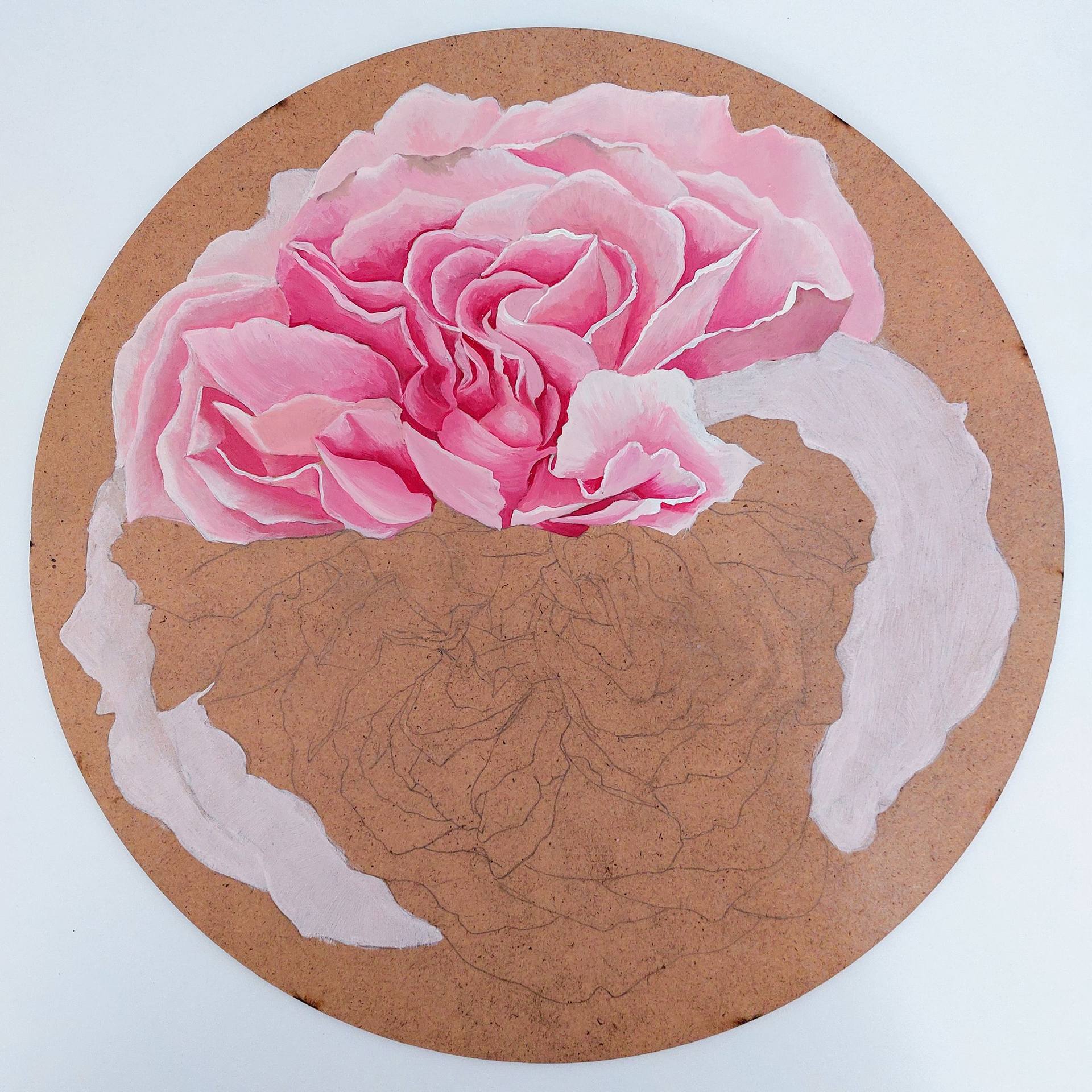 David Austin Cabbage Rose, Juliet Rose, Realistic Peony Rose for