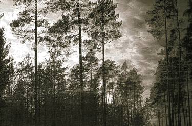 Original Landscape Photography by Maria Mann