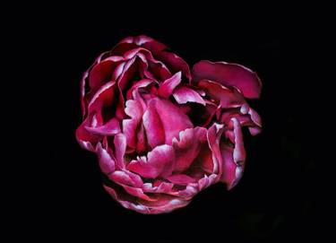 Print of Photorealism Floral Paintings by Elena Chiplak