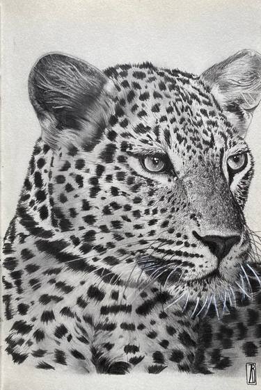 Print of Animal Drawings by Zoe Baer