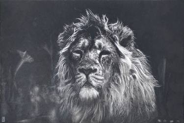 Original Figurative Animal Drawing by Zoe Baer