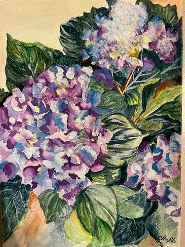 Original Botanic Paintings by Anna N