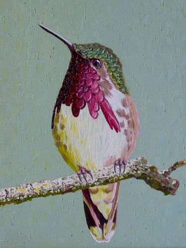 The Mexican hummingbird thumb