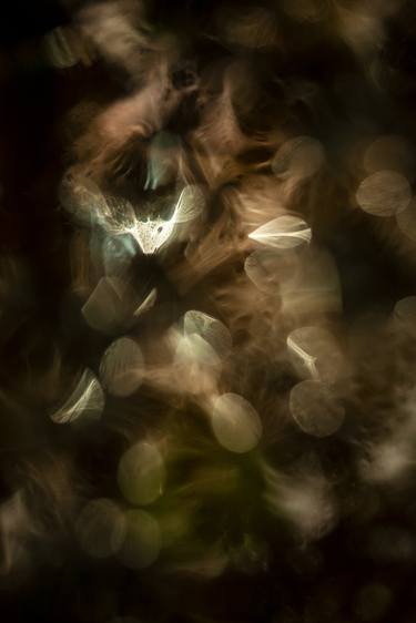 Original Surrealism Abstract Photography by Thyphaine Romeo