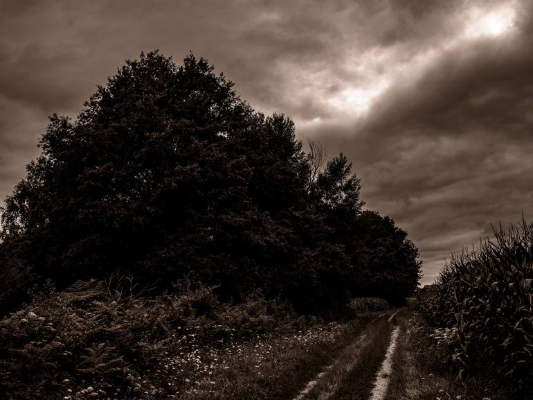 Original Landscape Photography by Thyphaine Romeo | Contemporary Art on Paper | The way back home