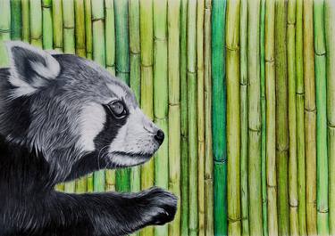 Print of Realism Animal Mixed Media by Romana Feitsch