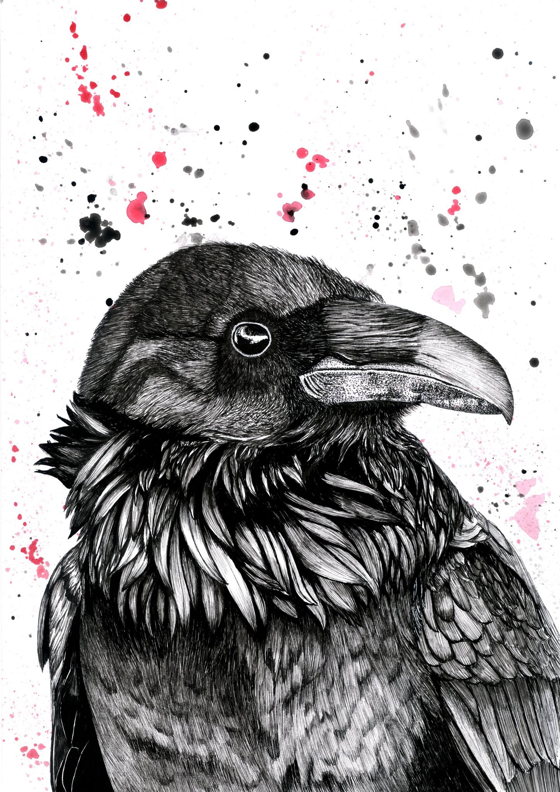 Crow Drawing by Romana Feitsch | Saatchi Art