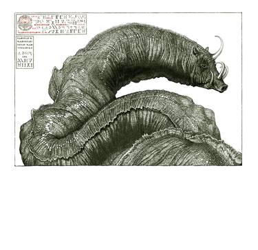 Original Illustration Animal Digital by Andy Dudak