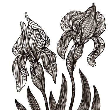 Original Illustration Floral Drawings by Christina Schöneich