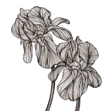 Original Floral Drawings by Christina Schöneich