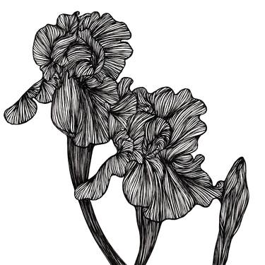 Original Illustration Floral Drawings by Christina Schöneich