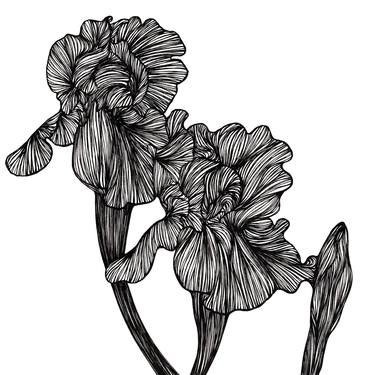 Original Floral Drawings by Christina Schöneich