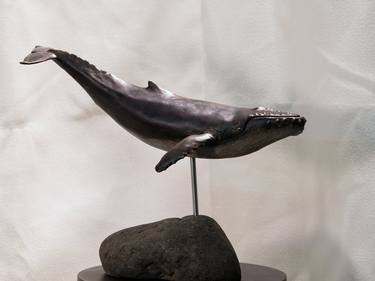 Humpback Whale thumb