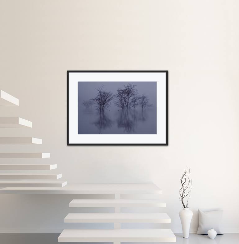Original Realism Landscape Photography by Kazu Artwork