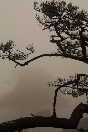 Print of Landscape Photography by Kazu K