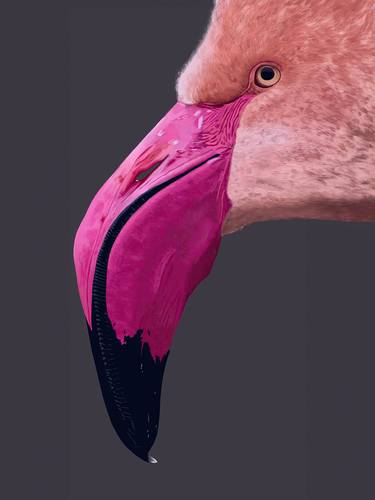 Pink Flamingo thumb