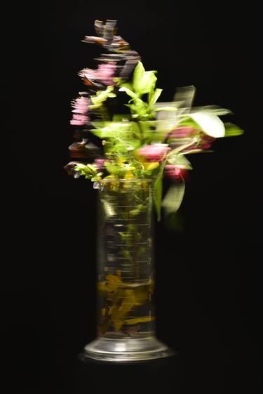 Original Floral Photography by Reinhold Leitner