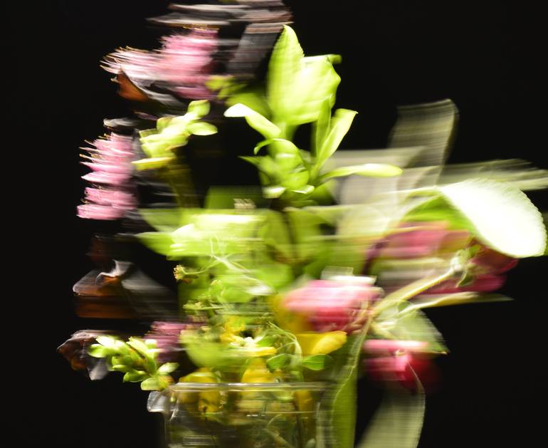 Original Contemporary Floral Photography by Reinhold Leitner