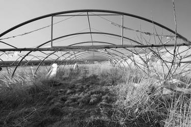 Abandoned polytunnel 05 thumb