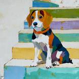 Collection Dog Days of Summer