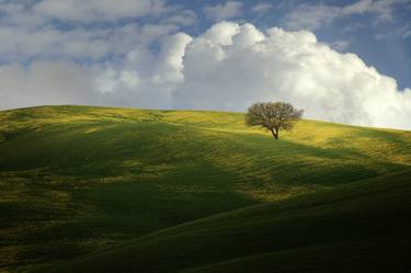 Print of Expressionism Landscape Digital by ALBERTO FORNASARI