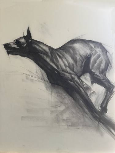 Original Animal Drawings by Kan Muftic