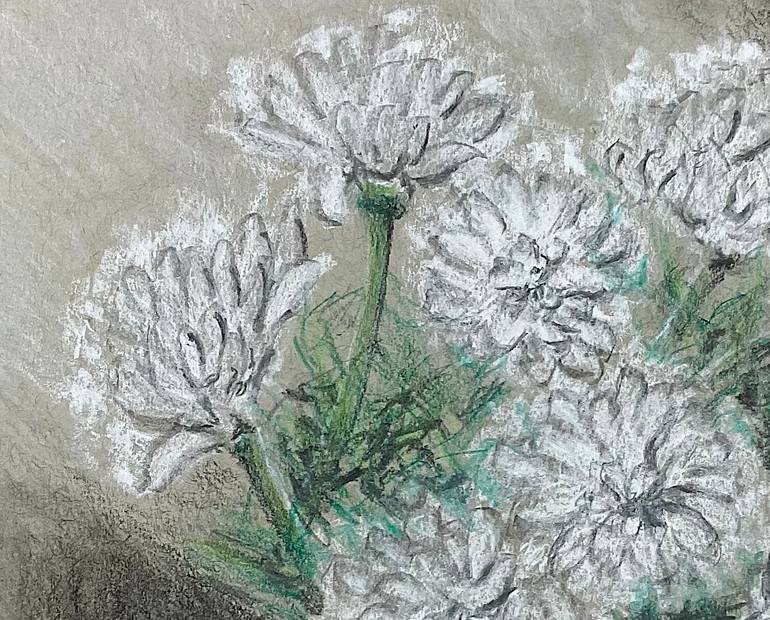 Original Realism Still Life Drawing by Rhonda Roth