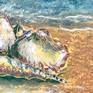 Seashells on the Beach detail
