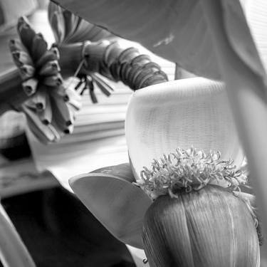 Original Black & White Botanic Photography by Rafael Benetti Cerezer