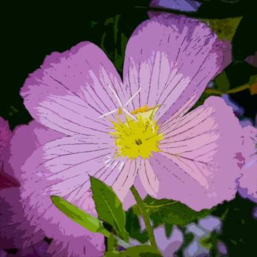 Original Abstract Expressionism Floral Photography by Rafael Benetti Cerezer