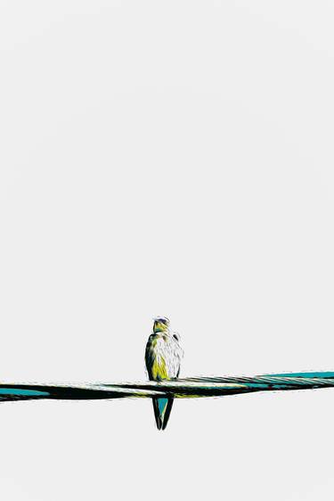 Original Abstract Expressionism Animal Photography by Rafael Benetti Cerezer