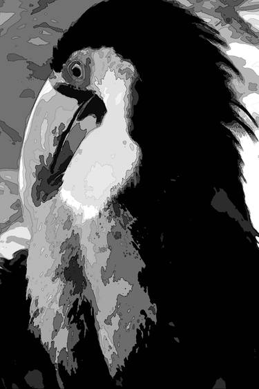 Original Abstract Expressionism Animal Photography by Rafael Benetti Cerezer