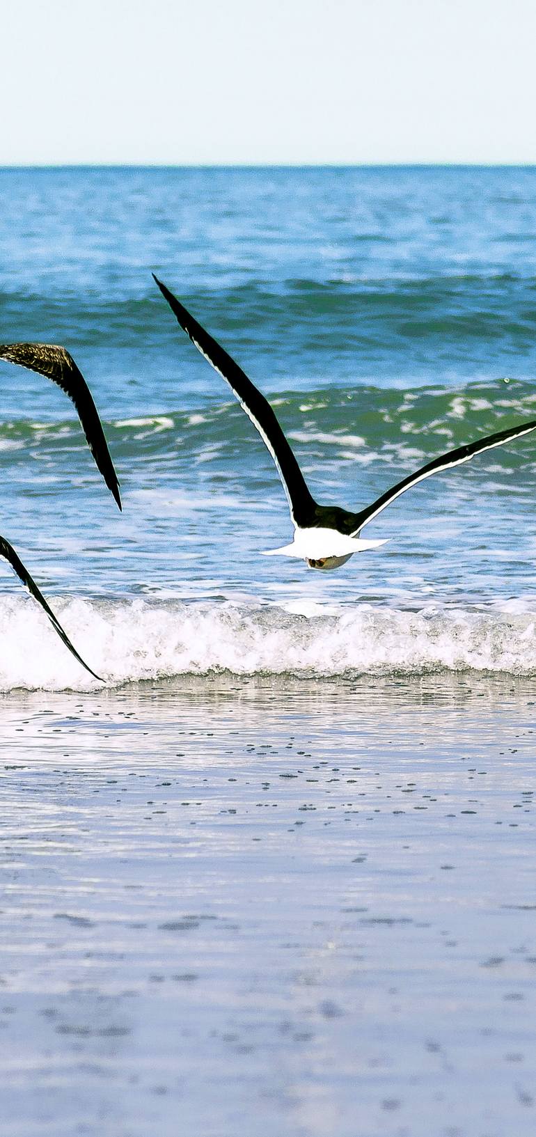 Original Abstract Expressionism Beach Photography by Rafael Benetti Cerezer