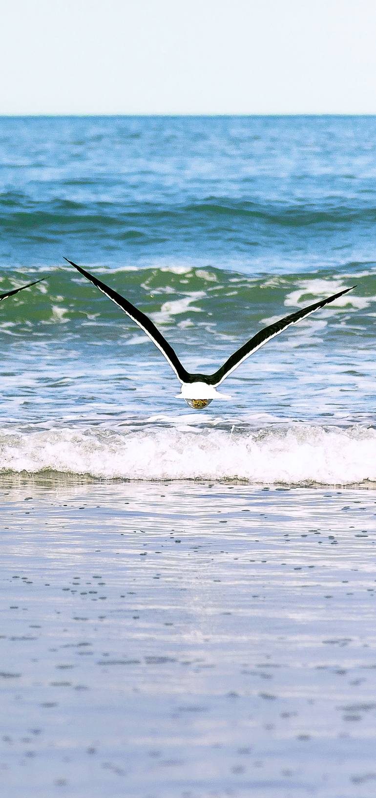 Original Abstract Expressionism Beach Photography by Rafael Benetti Cerezer