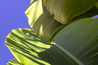 Original Baroque Beach Photography by Rafael Benetti Cerezer