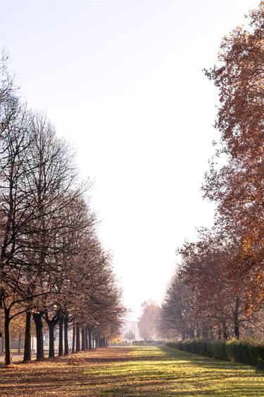 Original Baroque Garden Photography by Rafael Benetti Cerezer