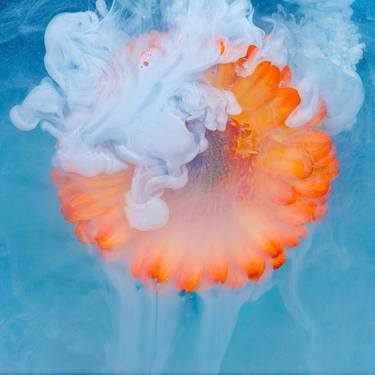 Original Floral Photography by Sara Gentilini