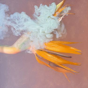 Original Fine Art Floral Photography by Sara Gentilini