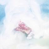 Ephemeral Flowers #21 by Sara Gentilini