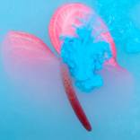 Ephemeral Flowers #22 by Sara Gentilini