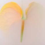 Ephemeral Flowers #24 by Sara Gentilini
