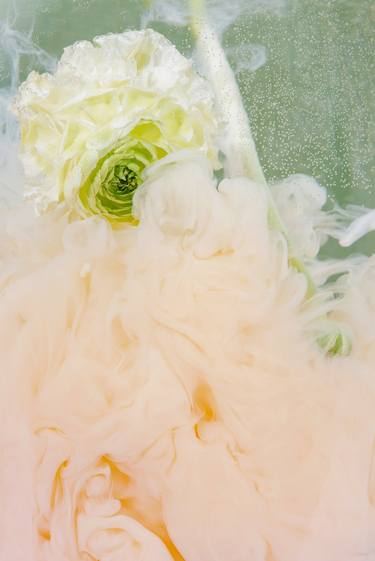 Original Floral Photography by Sara Gentilini