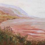 Embrace the Solitude by Janet Nelson