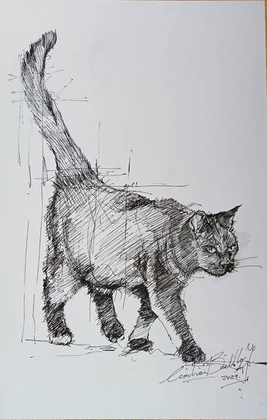 Original Cats Drawings by Cecilia Bustillo Yunen