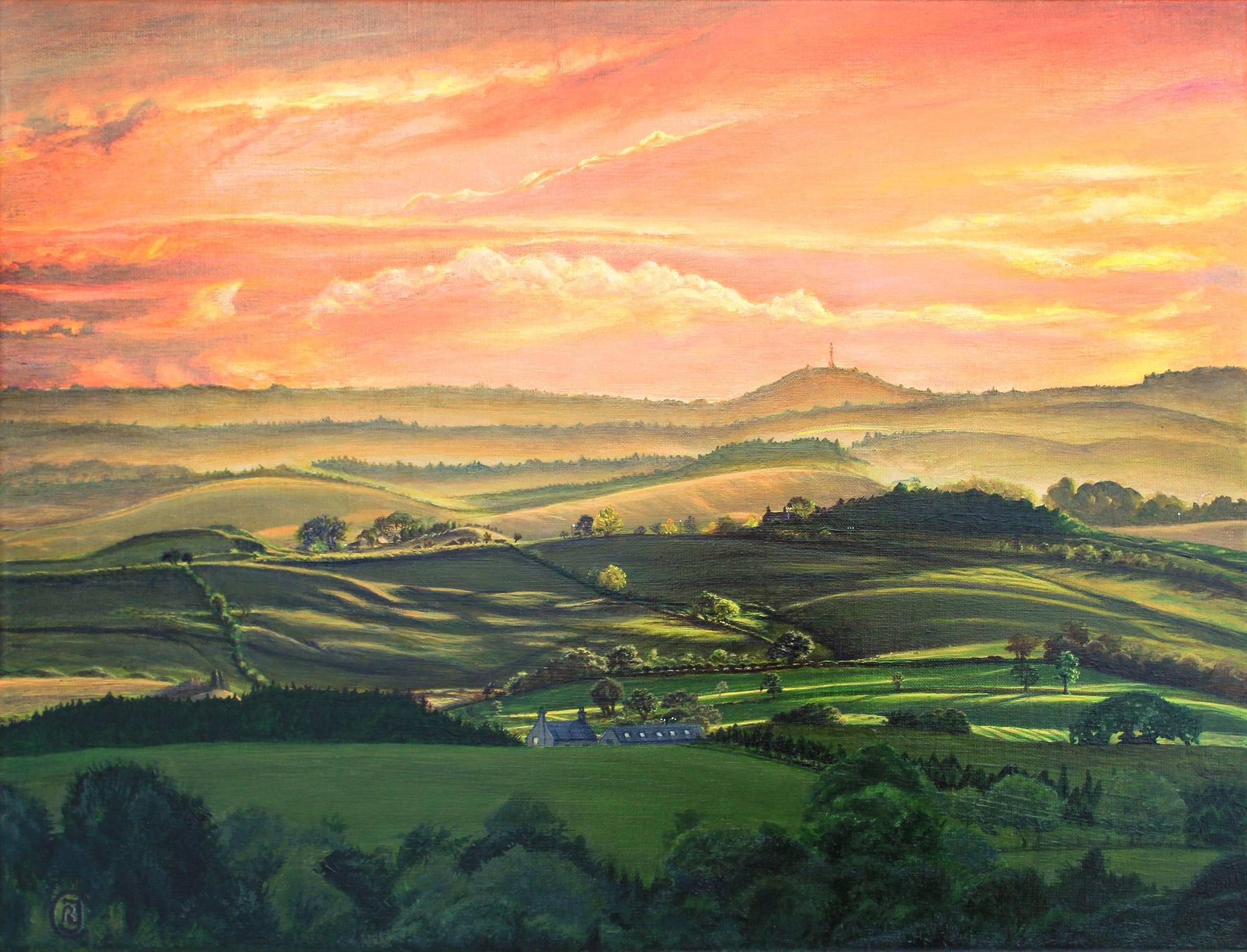 Meandering Meadows - Sunset Landscape, Bellingham Painting by Rhia