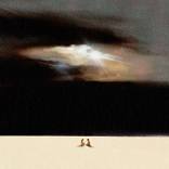 Collection 12 Artists Not to Miss in LA (2025)