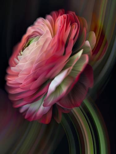 Original Expressionism Floral Mixed Media by Ana Butrym