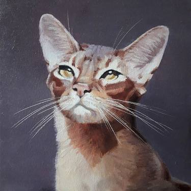 Abyssinian cat. Original oil painting thumb