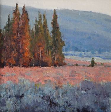 Original Impressionism Landscape Paintings by Dane Sellers