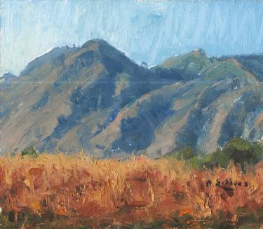 Original Impressionism Landscape Paintings by Dane Sellers